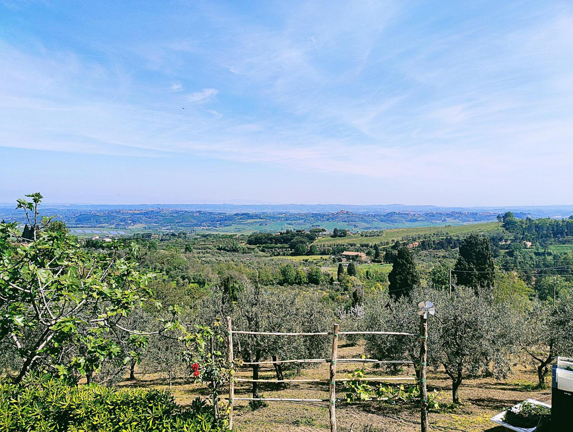 קשיאנה טרמה La Casina Di Colle - Appartamento Rustico Sulle Colline Di Pisa מראה חיצוני תמונה